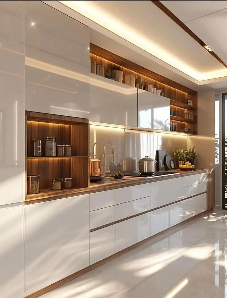Luxury Modern Kitchen